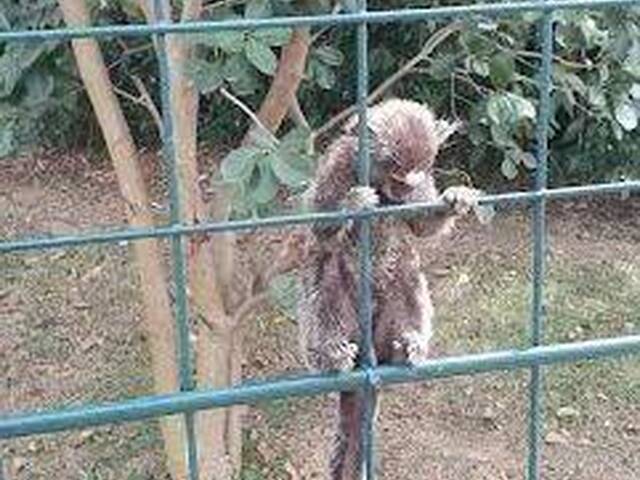 Terreno para Venda em Sorocaba - 4
