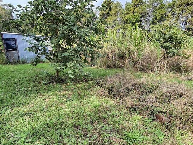 #CH0165 - Chácara para Venda em Piedade - SP - 3