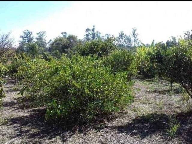 #SI0018 - Sítio para Venda em Capela do Alto - SP - 3