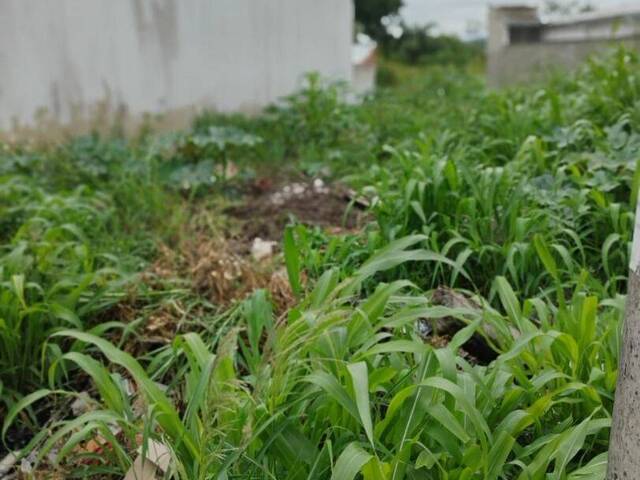 #TE1081 - Terreno para Venda em Sorocaba - SP - 3