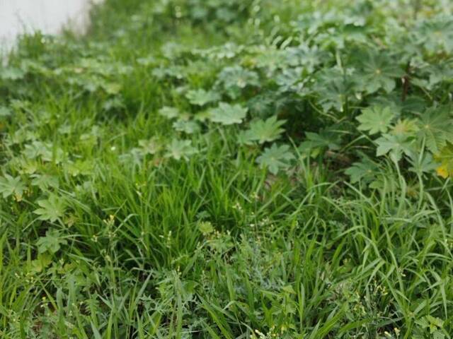 Terreno para Venda em Sorocaba - 4