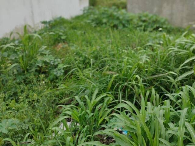 Terreno para Venda em Sorocaba - 5