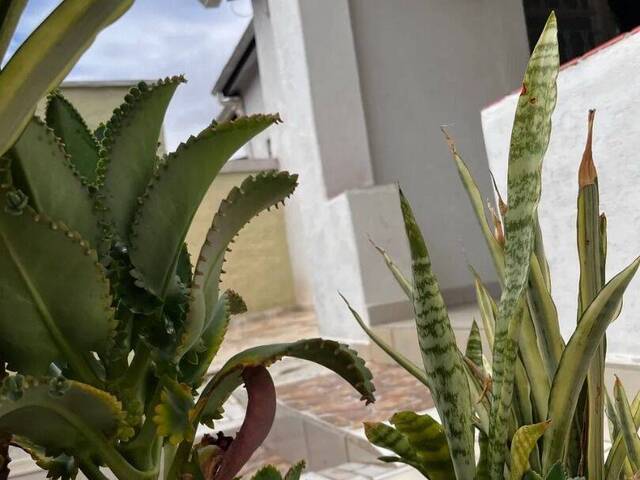 Casa para Venda em Sorocaba - 2