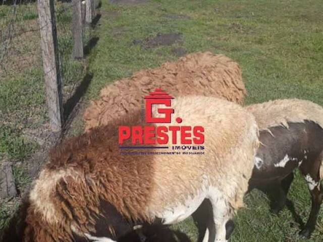 Chácara para Venda em Araçoiaba da Serra - 5