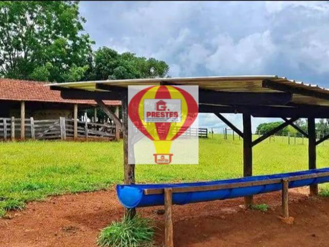 Sítio para Venda em Alambari - 5