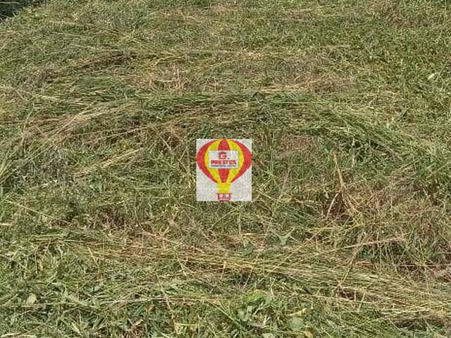 Venda em Jardim Luciana Maria - Sorocaba