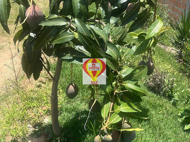 Chácara para Venda em Iperó - 4