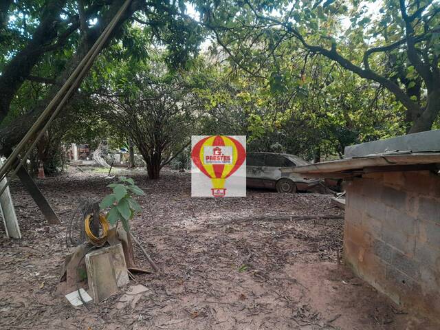  para  em  - 5