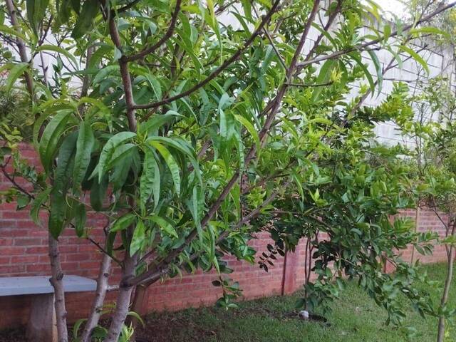 Sobrado para Venda em Sorocaba - 5