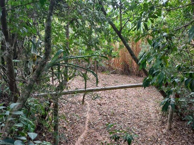 Chácara para Venda em Iperó - 4