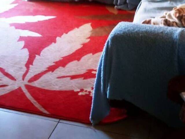 Chácara para Venda em Salto de Pirapora - 4