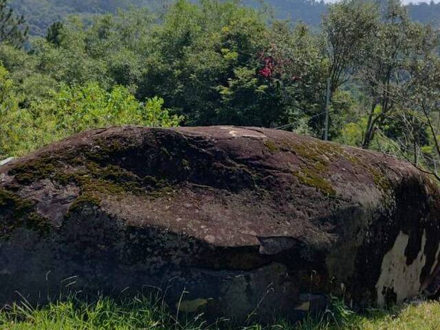 Chácara para Venda em Itapevi - 3