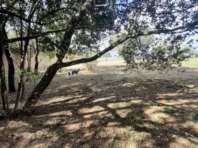 Terreno para Venda em Sorocaba - 2
