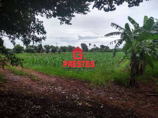 Sítio para Venda em Sorocaba - 5