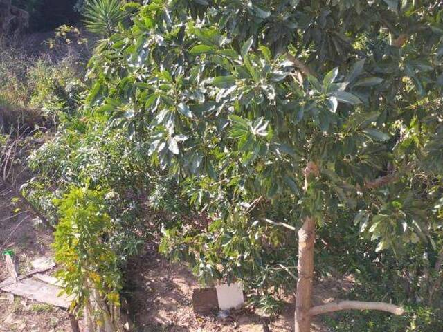 Sobrado para Venda em Sorocaba - 3