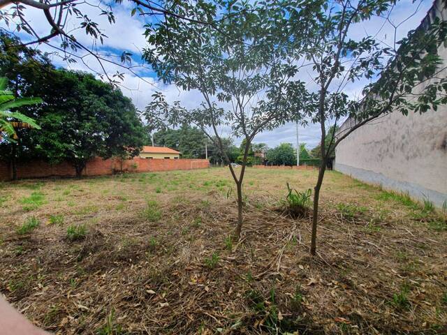 Venda em Jardim Master - Araçoiaba da Serra