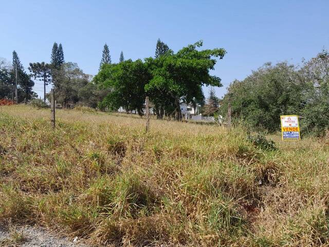 Terreno para Venda em Araçoiaba da Serra - 5