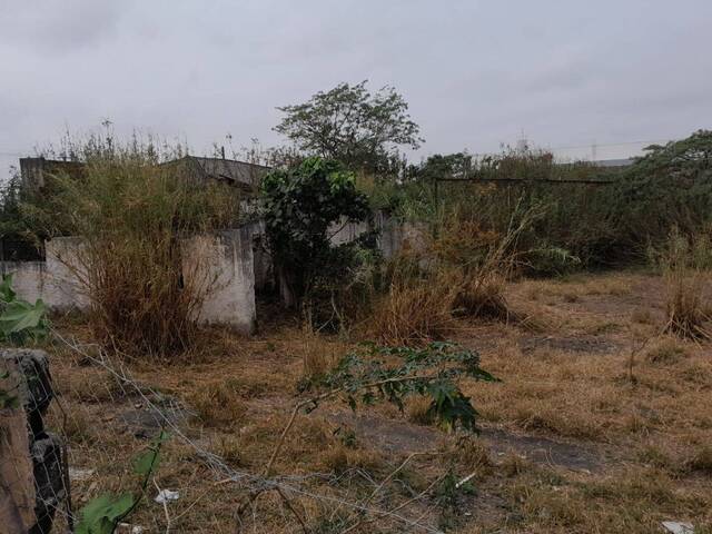 #AR0010 - Área para Venda em Vargem Grande Paulista - SP - 3