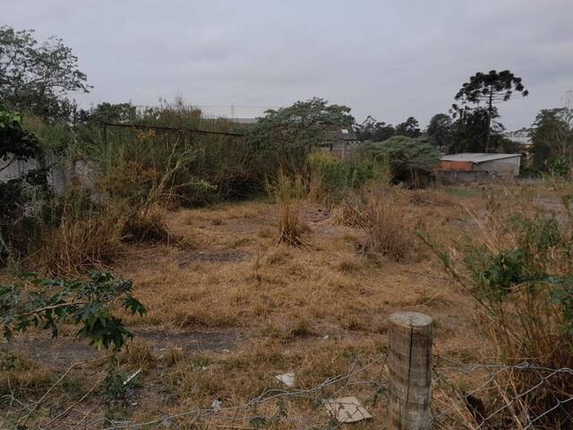 Área para Venda em Vargem Grande Paulista - 4