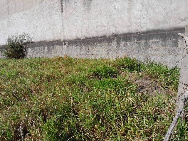 Terreno para Venda em Araçoiaba da Serra - 3