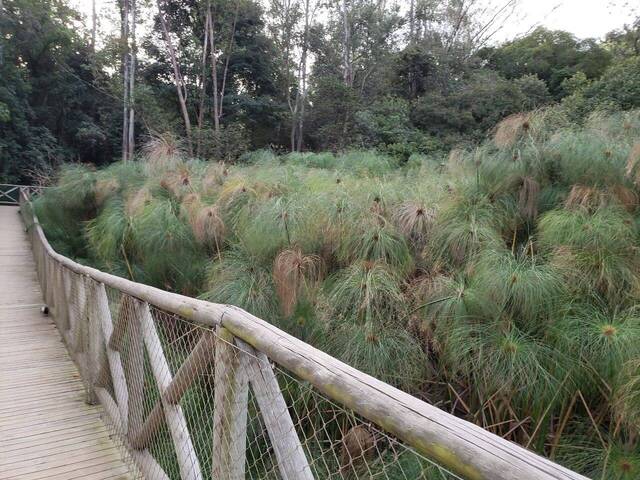 Duplex para Venda em Sorocaba - 4