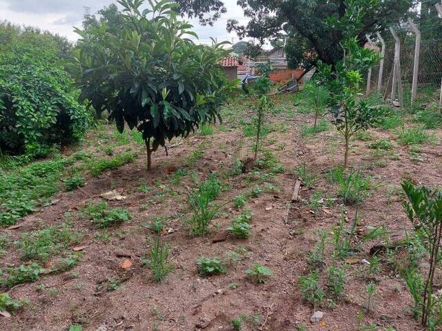 Terreno para Venda em Sorocaba - 5