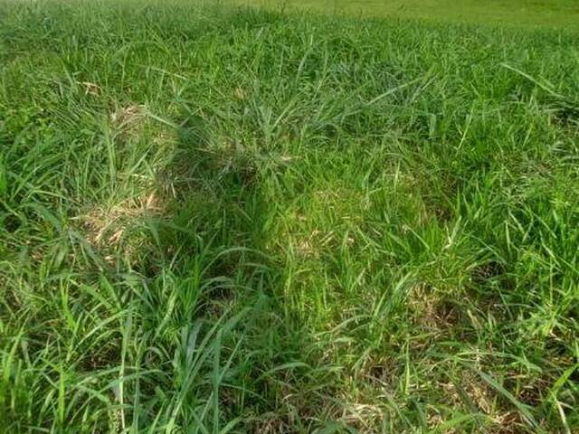 Terreno para Venda em Sorocaba - 4