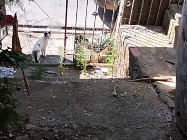 Venda em Pro-Morar - Votorantim