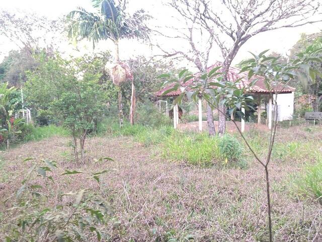 #CH0148 - Chácara para Venda em Araçoiaba da Serra - SP - 3