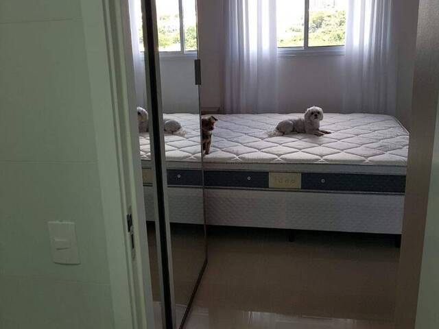 Studio para Locação em Sorocaba - 4