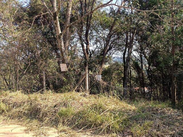 #TE1001 - Terreno para Venda em Itu - SP - 3