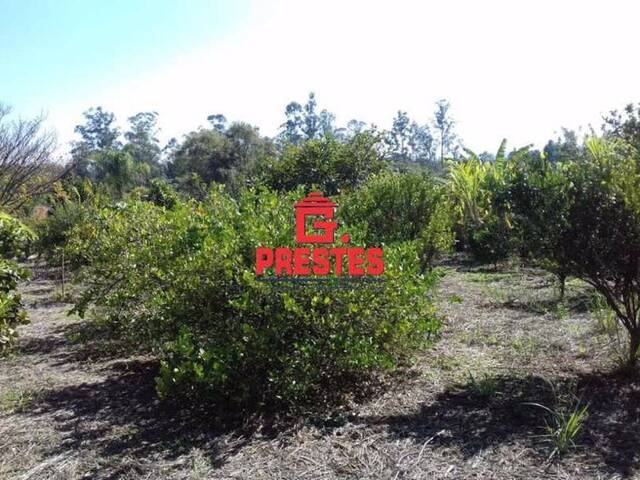 #SI0005 - Sítio para Venda em Capela do Alto - SP - 1