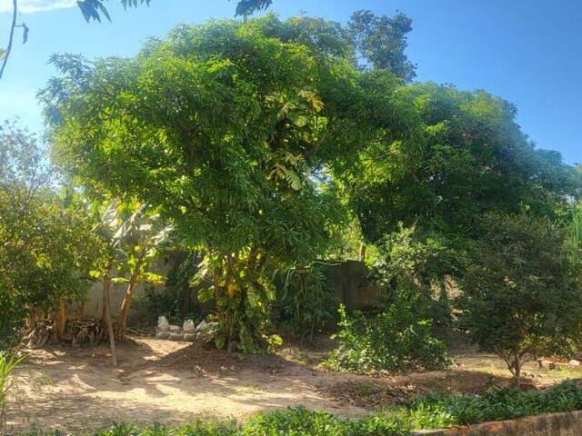 #CH0160 - Chácara para Venda em Itu - SP - 2